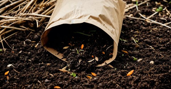 Sac à compost : le compagnon urbain pour vos déchets organiques